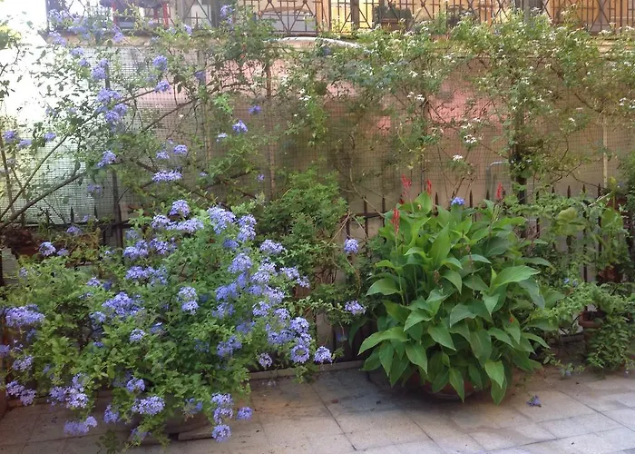 Bed & Breakfast Conversano Al Vaticano